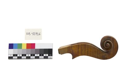 Foto Riccio di violino in lavorazione IGB-005593-06_20250604_002.jpg