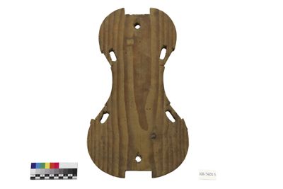 Foto Forma interna di viola IGB-005601-03_20250603_002.jpg