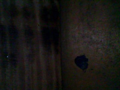 Foto violoncello IGB-005643_2016_003.jpg