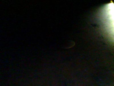 Foto violoncello IGB-005643_2016_004.jpg