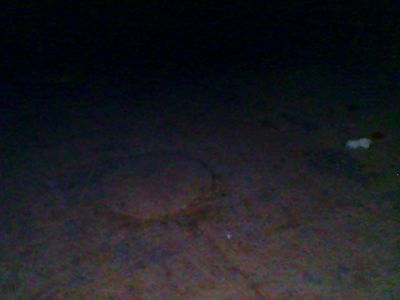 Foto violoncello IGB-005643_2016_005.jpg