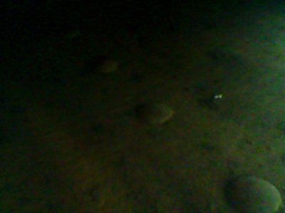 Foto violoncello IGB-005643_2016_007.jpg