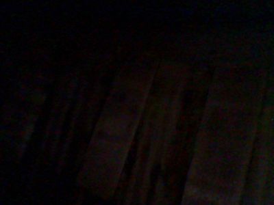 Foto violoncello IGB-005643_2016_016.jpg