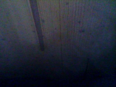 Foto violoncello IGB-005643_2016_021.jpg