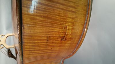 Foto violoncello IGB-005643_20170307_010.jpg