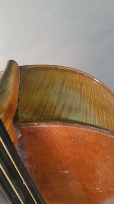 Foto violoncello IGB-005643_20170307_011.jpg