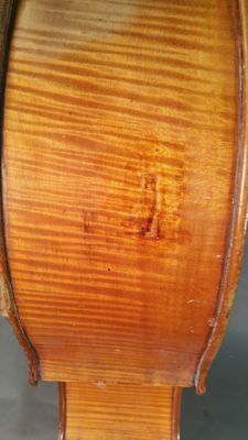 Foto violoncello IGB-005643_20170307_012.jpg