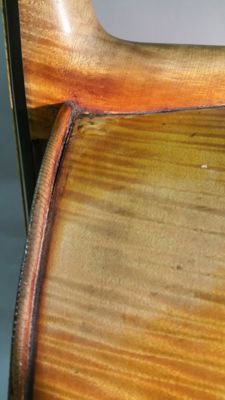 Foto violoncello IGB-005643_20170307_013.jpg