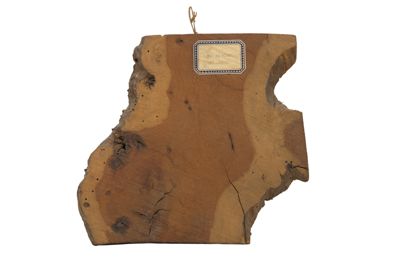 campione di legno di giuggiolo IGB-5662-1