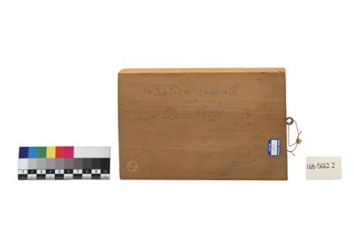 Foto campione di legno di giuggiolo IGB-005662-2_20250530_002.jpg