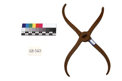 Foto compasso a forma di otto IGB-005663_20250530_002.jpg