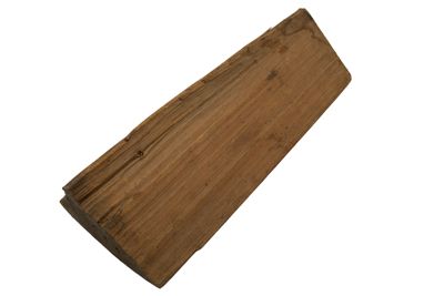 campione di legno di abete IGB-5665-2