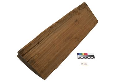 Foto campione di legno di abete IGB-005665-2_20250530_002.jpg