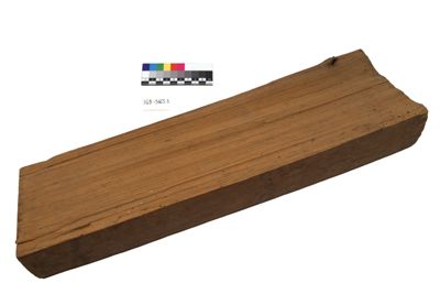 Foto campione di legno di abete IGB-005665-3_20250530_002.jpg