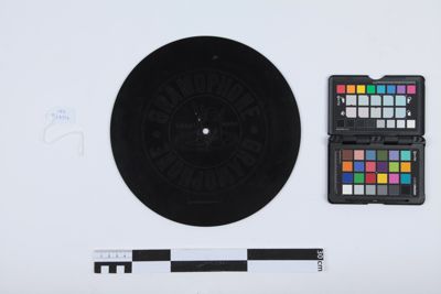 Foto Disco da 25 cm di diametro IGB-018912_20230620_004.jpg