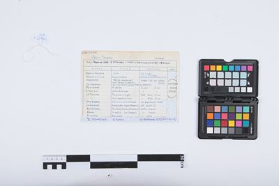 Foto Disco da 25 cm di diametro IGB-018964_20230621_006.jpg