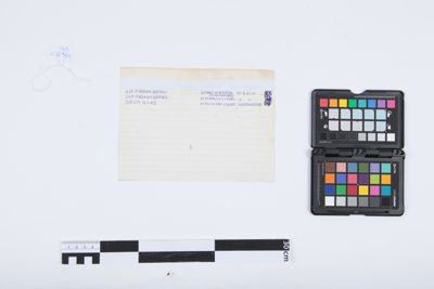 Foto Disco da 25 cm di diametro IGB-018964_20230621_008.jpg