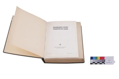 Foto catalogo di coloranti per tessuti IGB-021076-1_20260625_008.JPG
